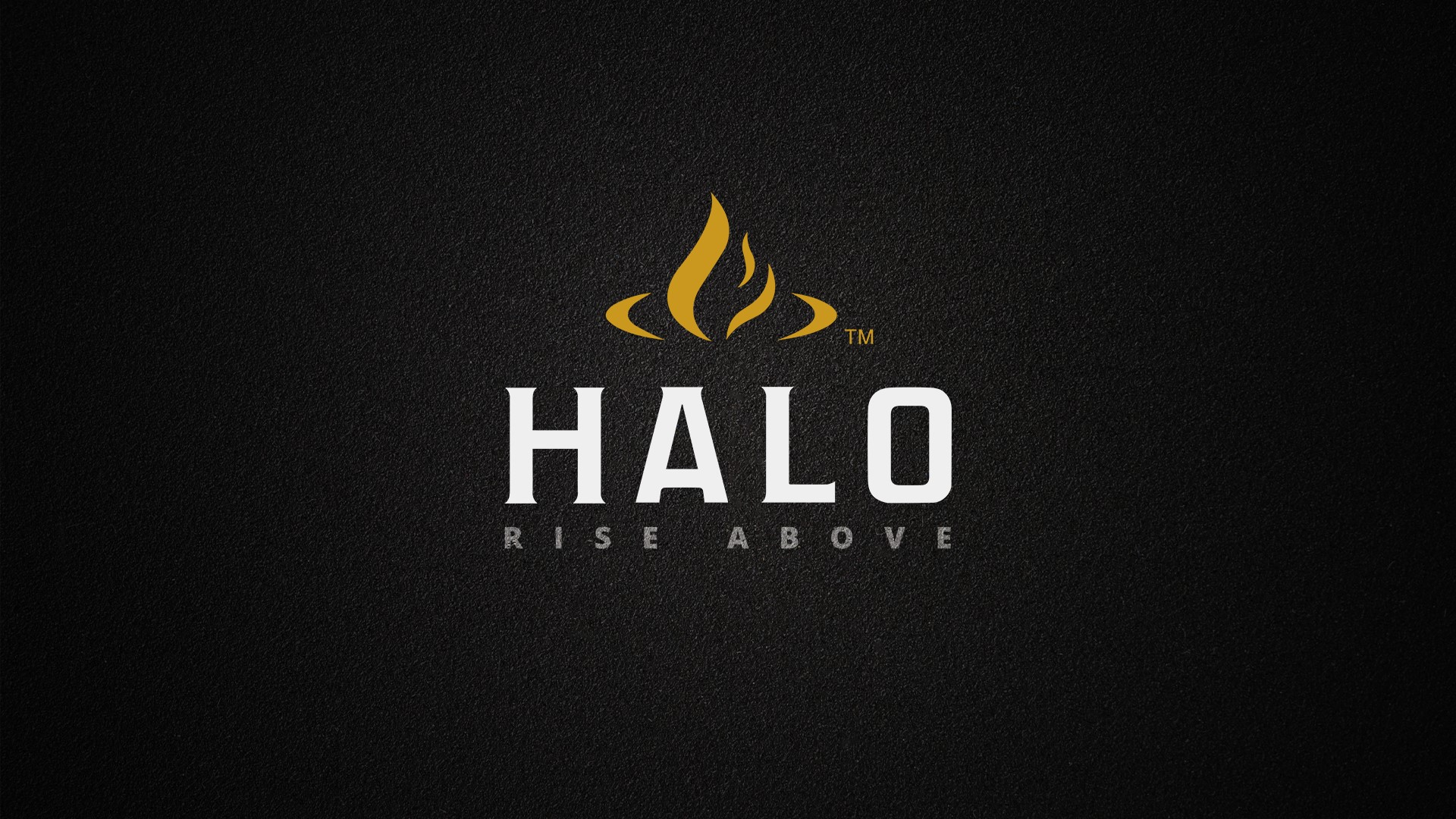halo logo wallpaper
